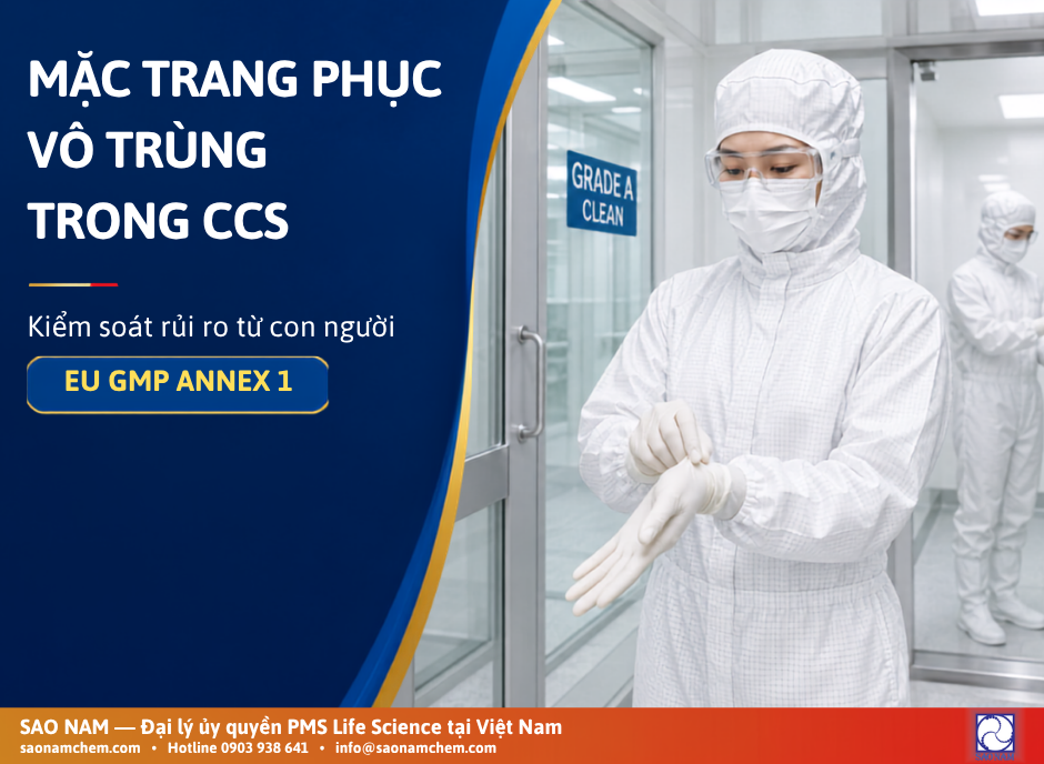 Mặc Trang Phục Vô Trùng Trong CCS: Kiểm Soát Rủi Ro Từ Con Người Theo EU GMP Annex 1